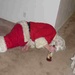 drunk_santa justsaymaux